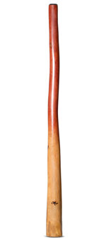 Tristan O'Meara Didgeridoo (TM370)